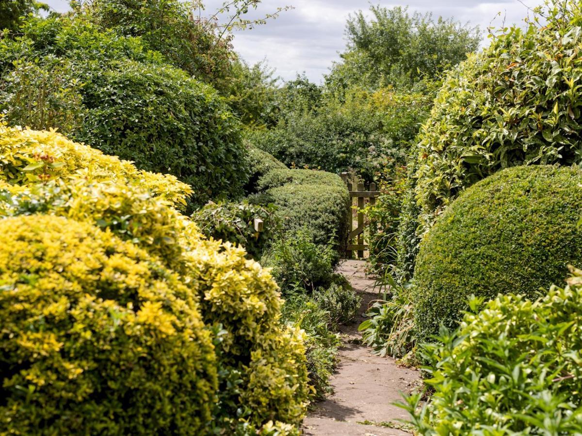 Pass The Keys Cosy Cottage With Views Over The Shropshire Hills Ludlow Ngoại thất bức ảnh